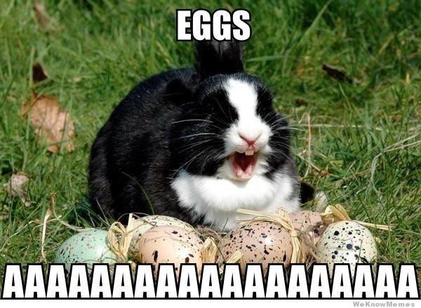 easter-bunny-meme-eggs.jpg